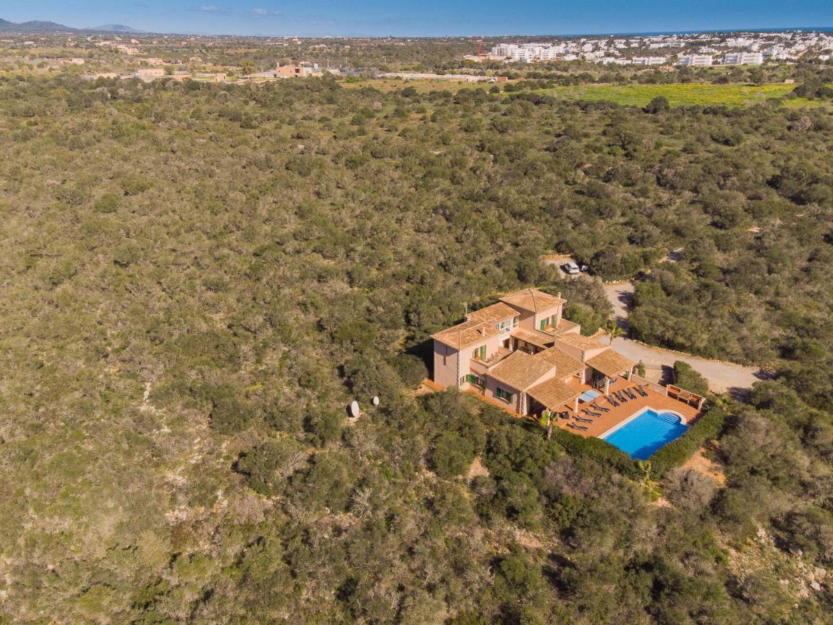 Holiday home Pleta De Sa Punta